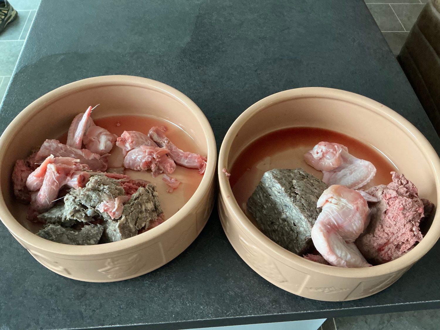 Raw dog food ready to serve